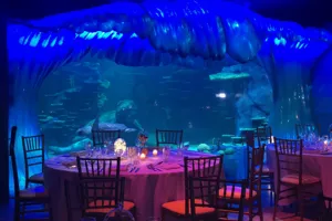 Dinner 2