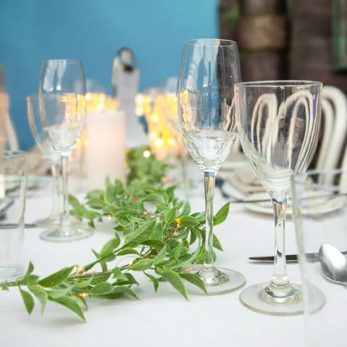 EVTS Dugdeck Whatson 700X700px 7